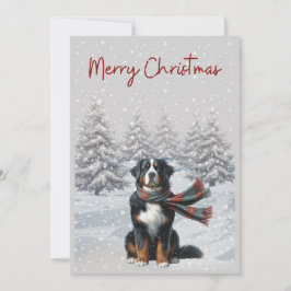 Chien de Montagne bernois dans la carte Noël de ne