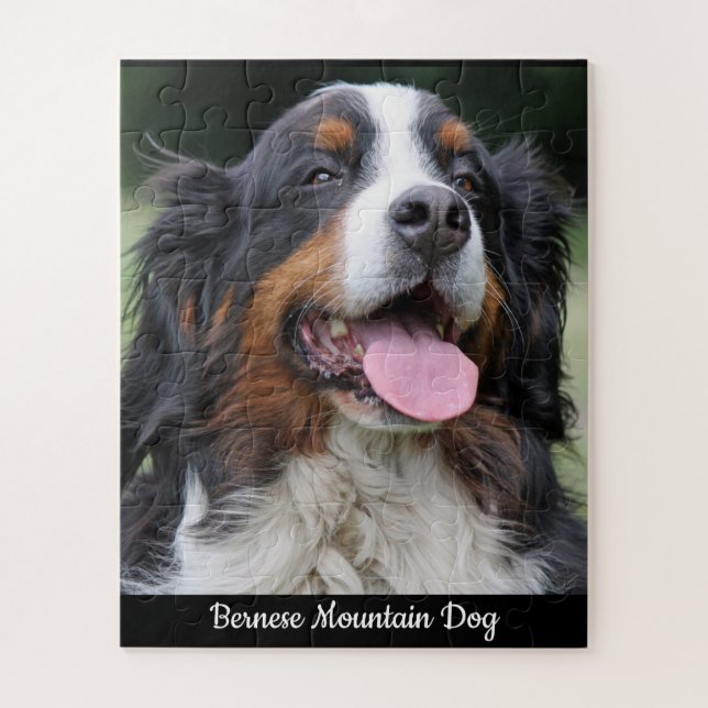 Chien de montagne bernois puzzle (Vertical)