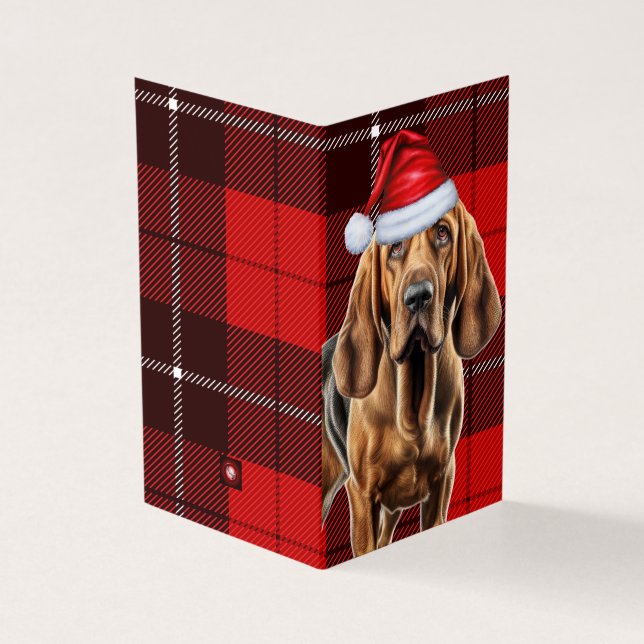 Chien de Noël avec Red Holiday Plaid (Outside)