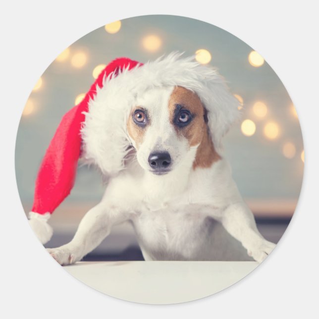 CHIEN DE NOËL CHIEN AVEC Sticker À chapeau de Père (Devant)