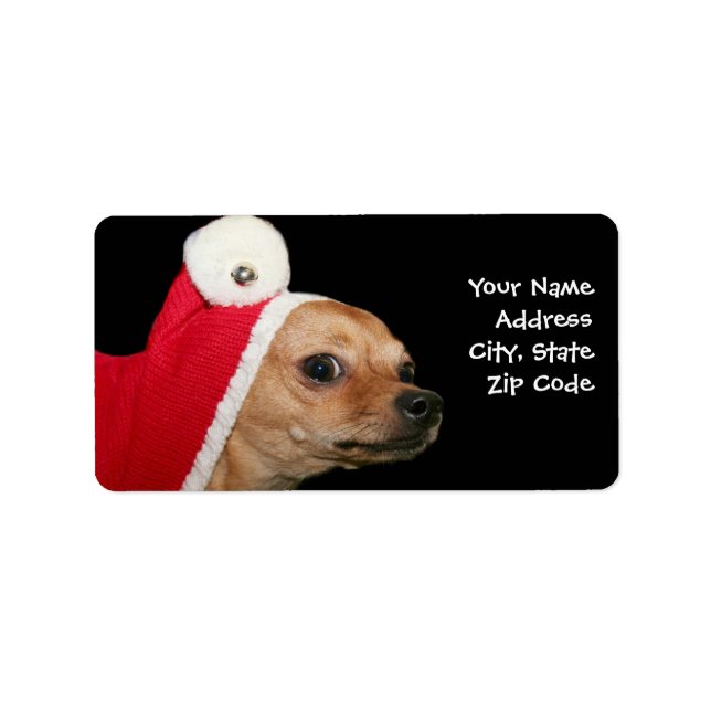 Chien de Noël chihuahua étiquettes de adresse (Devant)