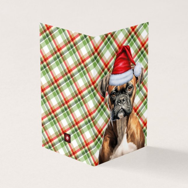 Chien de Noël en boîte avec Plaid de vacances (Outside)