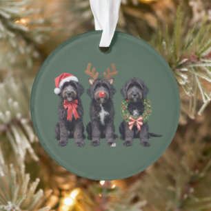 Chien de Noël Goldendoodle noir Maman Doodle Hiver