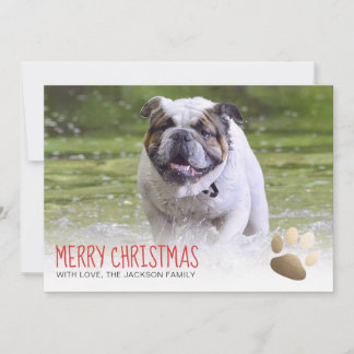 Chien de patte d'or du carte photo | de vacances