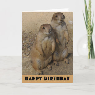 Chien de prairie de carte de joyeux anniversaire