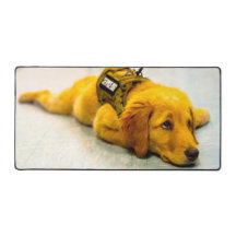 CHIEN DE SERVICE MILITAIRE AMÉRICAIN