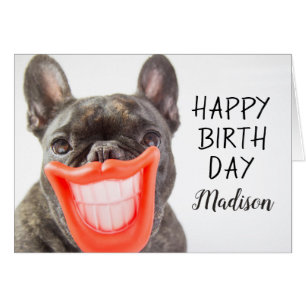 Chien de sourire des images A de Getty