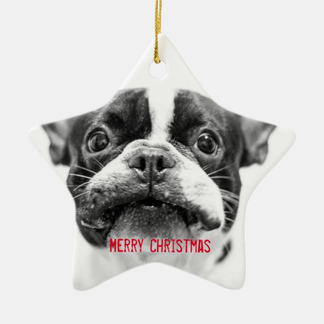 Chien de taule français Ornement de Noël Etoile pe (Devant)