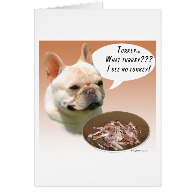 Chien de taureau français Turquie (Devant)