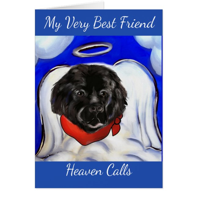 Chien de Terre-Neuve (Devant)