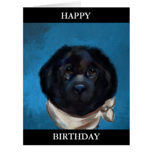 Chien de Terre-Neuve