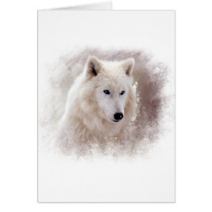 CHIEN DE TRAÎNEAU SIBÉRIEN BLANC