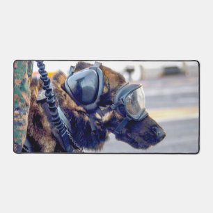 CHIEN DE TRAVAIL MILITAIRE AMÉRICAIN