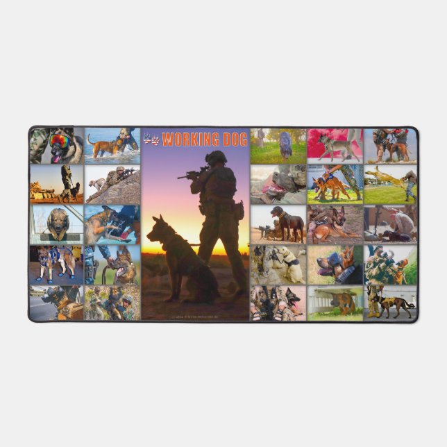 CHIEN DE TRAVAIL MILITAIRE AMÉRICAIN (Recto)