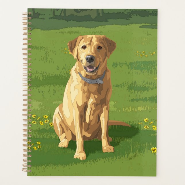 Chien de trieur du Labrador jaune (Devant)
