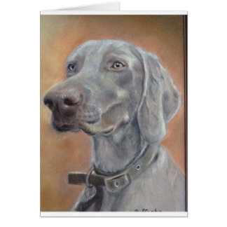 Chien de Weimaraner