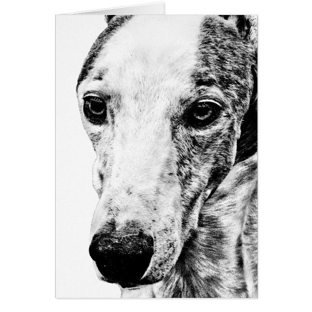 Chien de whippet (Devant)