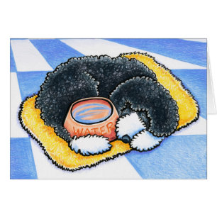 Chien d'eau portugais