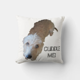 Chien débraillé "FAIS-MOI UN CALIN!" Coussin