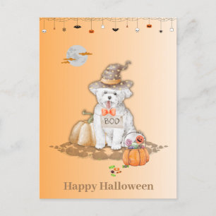 Chien d'Halloween portant la carte de bonbons d'Ha