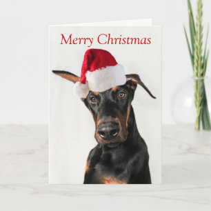 Chien Doberman avec la carte de Noël de Santa Hat