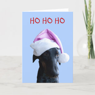 Chien drôle avec carte de Noël Santa Hat rose