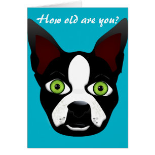 Chien drôle de délivrance de Boston Terrier