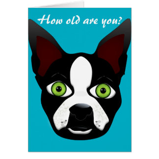 Chien drôle de délivrance de Boston Terrier