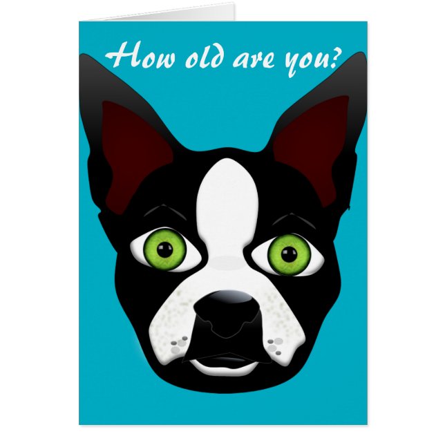 Chien drôle de délivrance de Boston Terrier (Devant)
