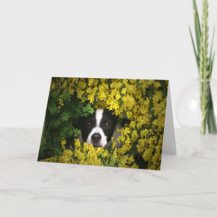 Chien drôle et mignon dans les fleurs Carte d'anni