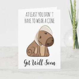 chien drôle obtenir bien bientôt cartes