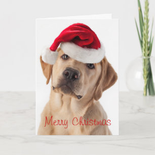 Chien du joli Yellow Lab avec carte de Noël du San