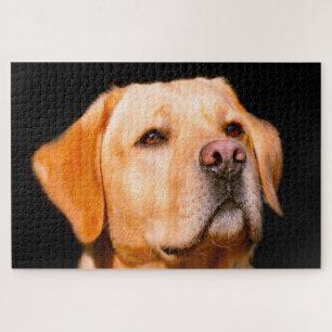 Chien du Labrador. Jigsaw Puzzle