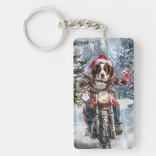 Chien épagneul breton à moto à Noël