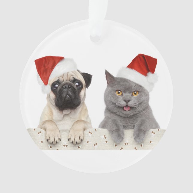 Chien et chat dans le casquette rouge de Noël (devant)