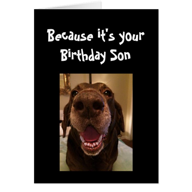 Chien Gros Nez Drôle Anniversaire Fils Aimer Chien (Devant)