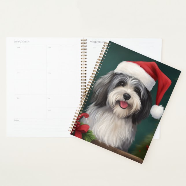 Chien Havanais en Noël de neige (Devant avec enveloppe)