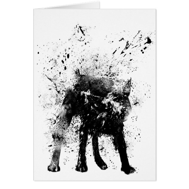 chien humide (Devant)