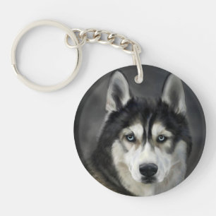 Chien Husky Gros Chien Animal Familier