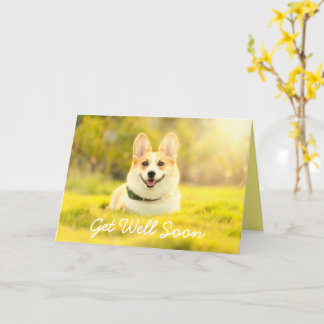 Chien jaune et encouragement obtenir bonne carte