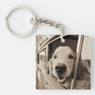 Chien jetant un coup d'oeil une fenêtre de voiture