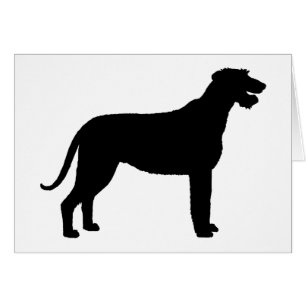 Chien-loup irlandais (dans le noir)
