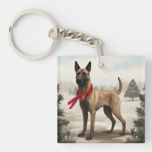 Chien malinois belge à Noël de neige