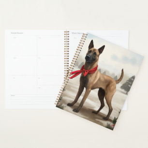Chien Malinois Belge dans la neige Noël
