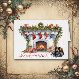 Chien Malinois belge en attente de Père Noël