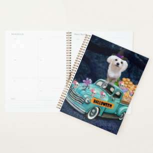 Chien maltais Halloween Camion Effrayant nuit