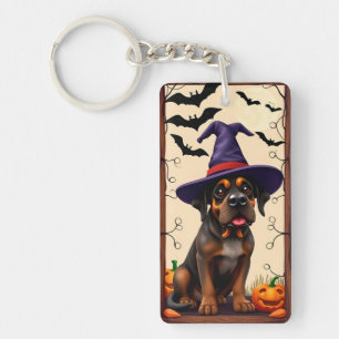 Chien mignon avec chapeau de sorcière