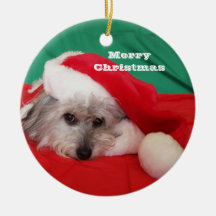 Chien mignon avec ornement de Noël Casquette