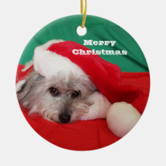 Chien mignon avec ornement de Noël Casquette