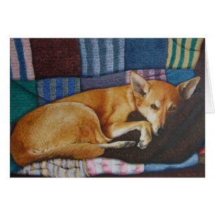 chien mignon berger allemand labrador chien dormir